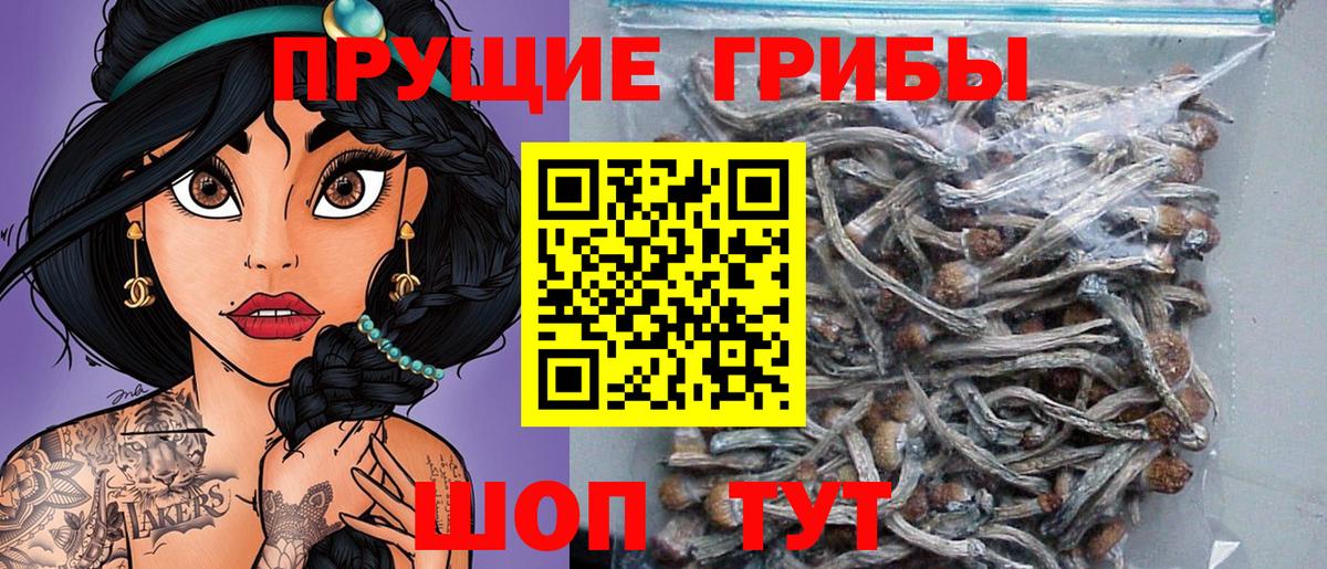 Галлюциногенные грибы Magic Shrooms Смоленск