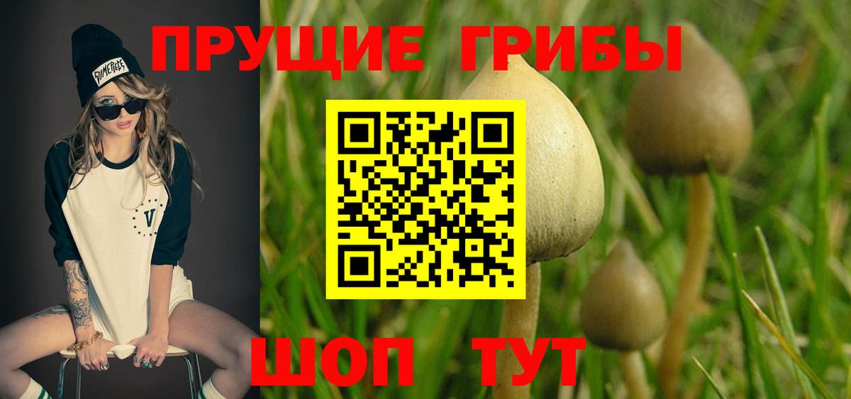 Псилоцибиновые грибы MAGIC MUSHROOMS  Вход с VPN  Смоленск 